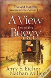 Capa do artigo A View From The Buggy