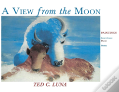 A View From The Moon
