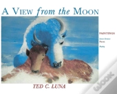A View From The Moon