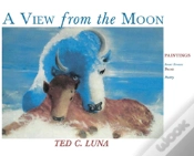 Capa do artigo A View From The Moon