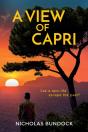 A View Of Capri - Preview