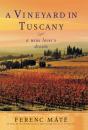 A Vineyard In Tuscany - Preview