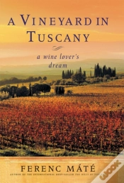 Capa do artigo A Vineyard In Tuscany