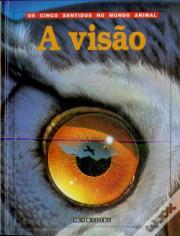 A Visão