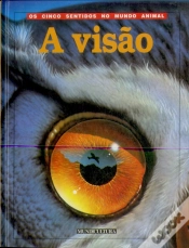 Capa do artigo A Visão