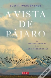 Capa do artigo A Vista De Pajaro
