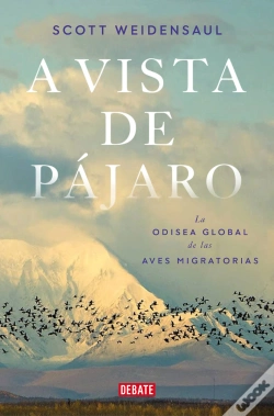 Capa do artigo A Vista De Pajaro