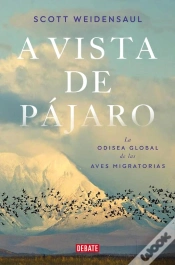 Capa do artigo A Vista De Pájaro