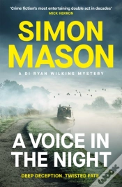 Capa do artigo A Voice In The Night