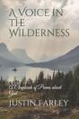 A Voice In The Wilderness - Preview
