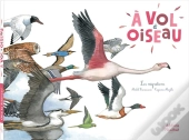 À Vol D'Oiseau ; Les Migrations