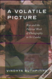 Capa do artigo A Volatile Picture