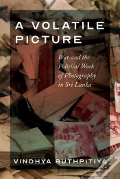 Capa do artigo A Volatile Picture
