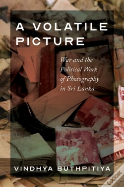 Capa do artigo A Volatile Picture