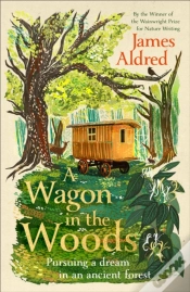 Capa do artigo A Wagon In The Woods