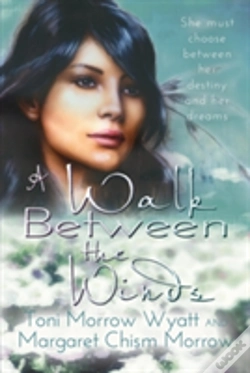 Capa do artigo A Walk Between The Winds