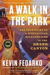 Capa do artigo A Walk In The Park