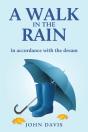 A Walk In The Rain - Preview
