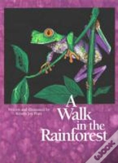 A Walk In The Rainforest