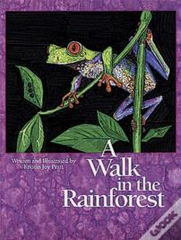 A Walk In The Rainforest
