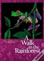 A Walk In The Rainforest
