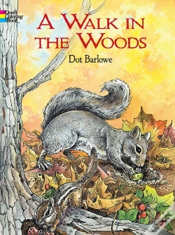 Capa do artigo A Walk In The Woods Coloring Book