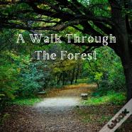 A Walk Through The Forest