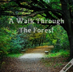 Capa do artigo A Walk Through The Forest
