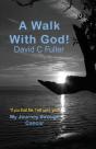 A Walk With God: My Journey Through Canc - Preview
