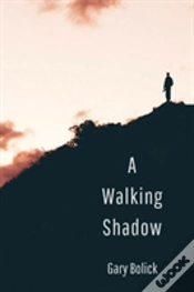 Capa do artigo A Walking Shadow