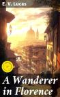 A Wanderer In Florence - Preview