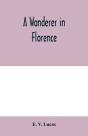 A Wanderer In Florence - Preview