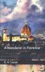 A Wanderer In Florence - Preview