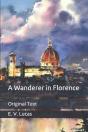 A Wanderer In Florence - Preview