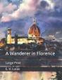 A Wanderer In Florence - Preview