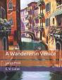 A Wanderer In Venice - Preview