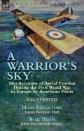 A Warrior'S Sky