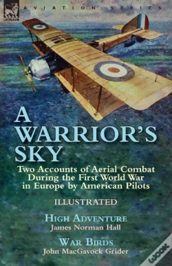 Capa do artigo A Warrior'S Sky