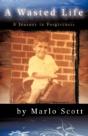 A Wasted Life: A Journey In Forgiveness - Preview