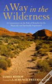 Capa do artigo A Way In The Wilderness