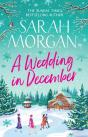 A Wedding In December - Preview
