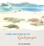 A Week Sketching In The Galapagos - Preview