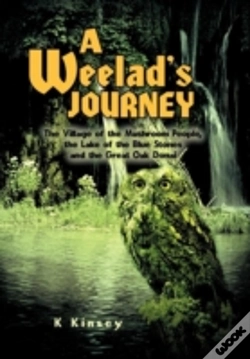 Capa do artigo A Weelad'S Journey