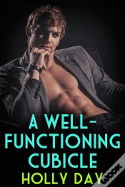 Capa do artigo A Well-Functioning Cubicle