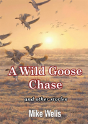 A Wild Goose Chase: And Other Stories - Preview