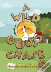 A Wild Goose Chase