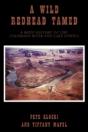 A Wild Redhead Tamed: A Brief History Of - Preview