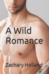 A Wild Romance