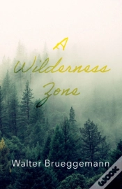 Capa do artigo A Wilderness Zone