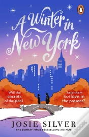 Capa do artigo A Winter In New York